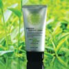 3W Clinic Intensive Green Tea Sunblock Cream SPF 50+PA+++ (In Bangladesh)