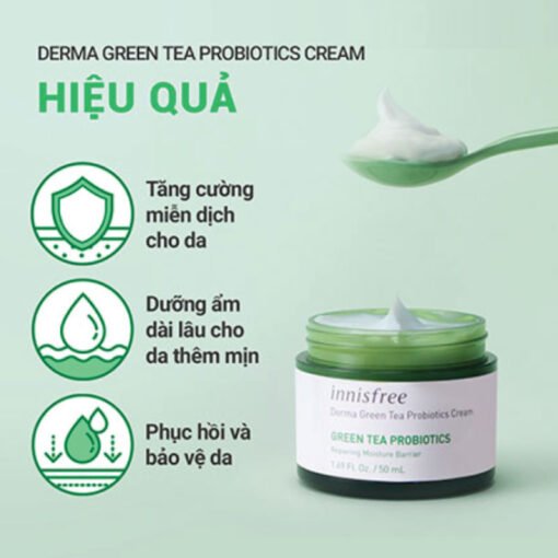 Innisfree Derma Green Tea Probiotics Cream 50mL (In Bangladesh) - Image 3