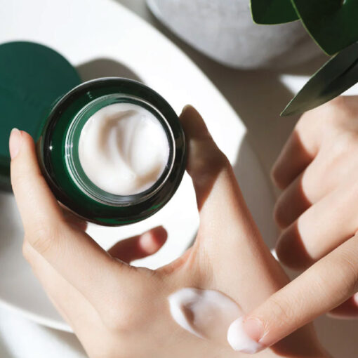 Innisfree Green Tea Seed Deep Cream 50ml (In Bangladesh) - Image 2