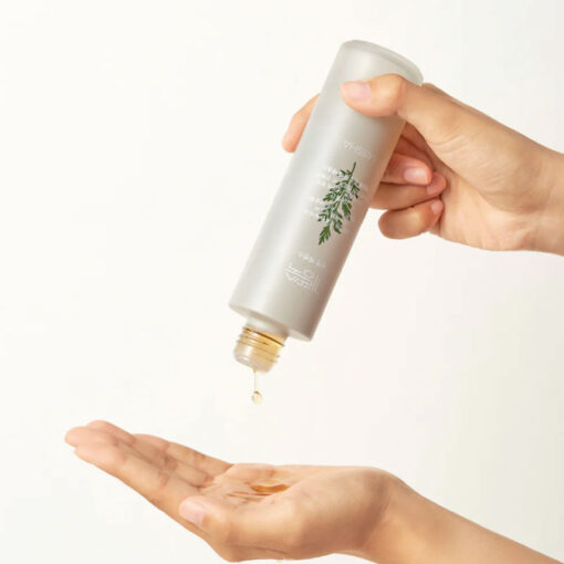 MISSHA Artemisia Calming Essence 30ml (In Bangladesh) - Image 2
